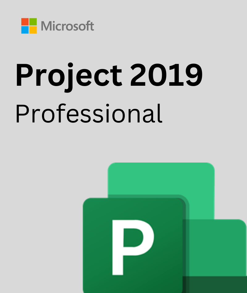 Project 2019 professional