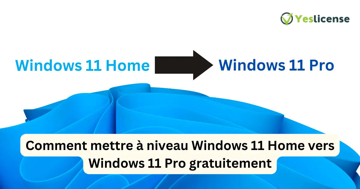 Comment mettre à niveau Windows 11 Home vers Windows 11 Pro