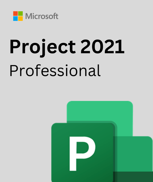Project 2021 professional